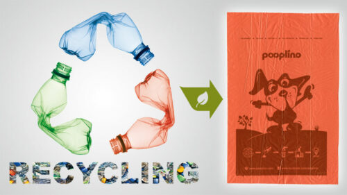 Hundekotbeutel aus recyceltem Kunststoff: die ressourcenschonende Alternative